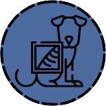 Appointment Scheduling